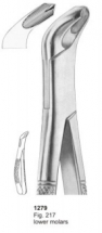  Fig. 217 lower molars 